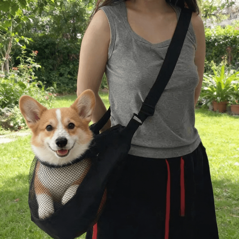 Travel Accessories Dog - Tas Pembawa Anjing Berbahan Jaring Ringan