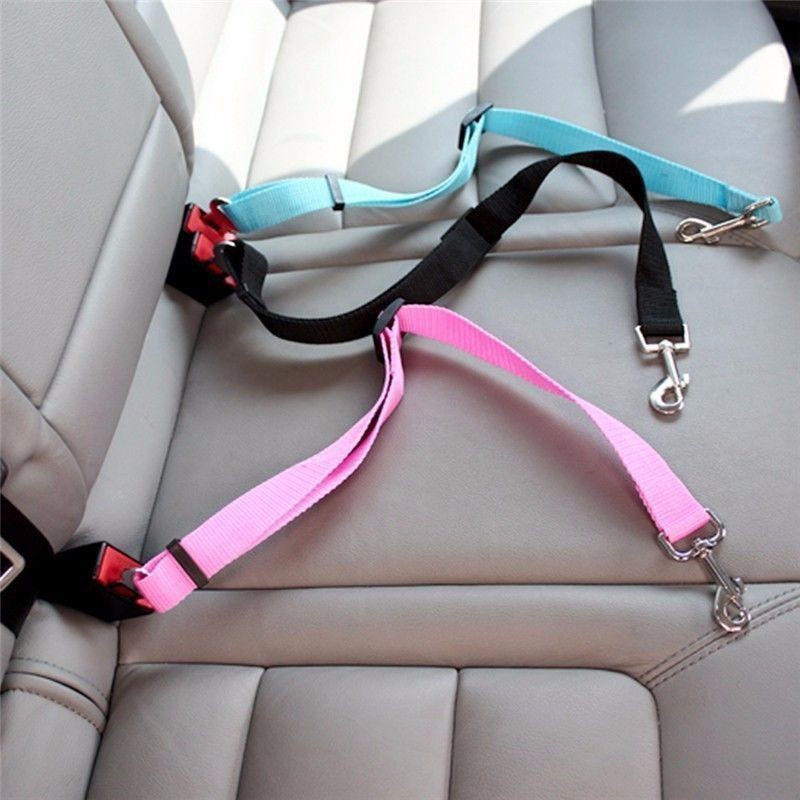 Travel Accessories Dog - Sabuk Pengaman Mobil untuk Kucing, Aksesoris